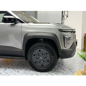 VinFast Wild