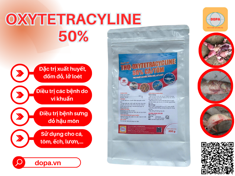 OXYTETRACYCLINE 50% CÁ/TÔM: Giải Pháp Vàng Trị Xuất Huyết, Đốm Đỏ, Lở Loét Hiệu Quả