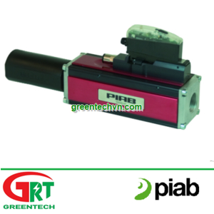 P6010 AVM™2 | Piab | Bơm chân không Piab P6010 AVM™2 | Piab Vaccum Pump P6010 AVM™2 | Piab Vietnam