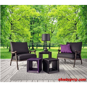 GẠCH 3D MẪU PC21