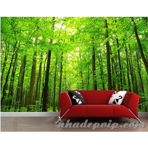 Mẫu phong cảnh PC27