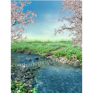 Gạch 3D mẫu PC48