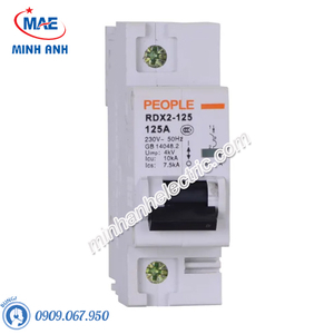 MCB dòng cắt 10000A - RDX2-125 1P C100 125A