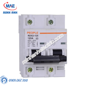 MCB dòng cắt 10000A - RDX2-125 2P C80 80A