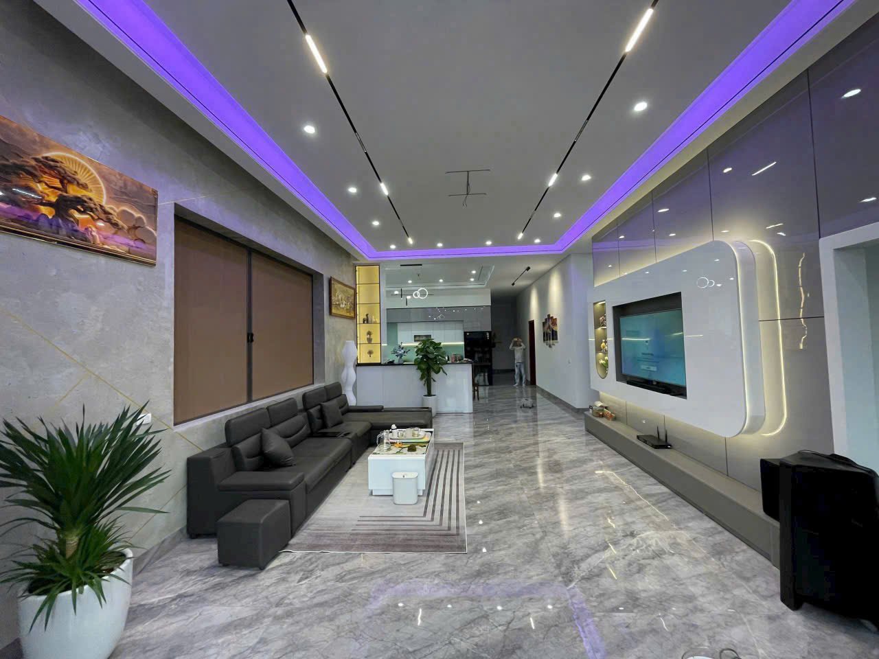 TẤM ỐP THAN TRE PHỦ PET IS-9 CAO CẤP TẠI HỒ CHÍ MINH