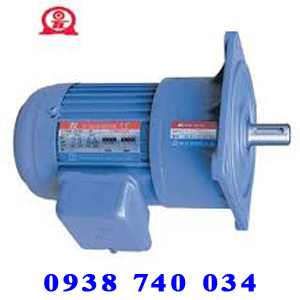 PF40-0400-1000S3 , Motor giảm tốc , đông cơ giảm tốc mặt bích tunglee