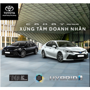 Phân biệt Sinh mệnh và Cung mệnh: Nên chọn màu xe ô tô theo yếu tố nào