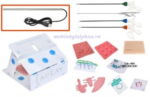 Mô hình thực hành phẫu thuật nội soi