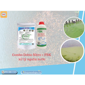 Phòng bệnh chủ động cho cá chạch bùn bằng vi sinh và sát khuẩn định kỳ