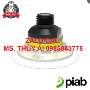 VAN HÚT CHÂN KHÔNG PIAB