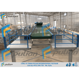 BĂNG TẢI PHÂN LOẠI PULIAN