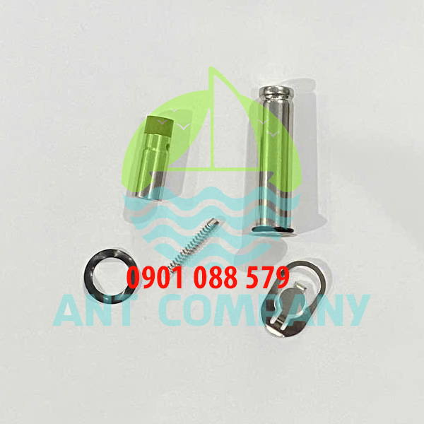 Pilot Plunger Repair Kit CQDP1350