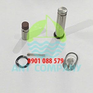 Pilot Plunger Repair Kit CQDP1350