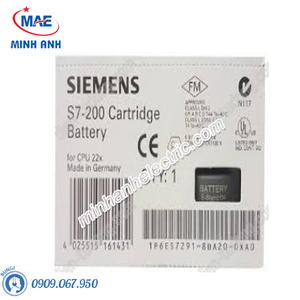 Pin PLC s7-200-6ES7291-8BA20-0XA0