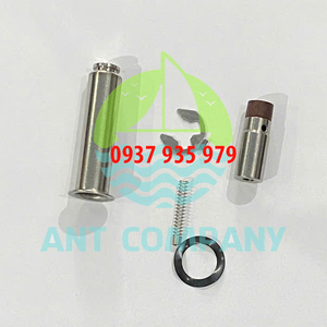 PISTON DẪN HƯỚNG VAN GIŨ BỤI DN50 DMF