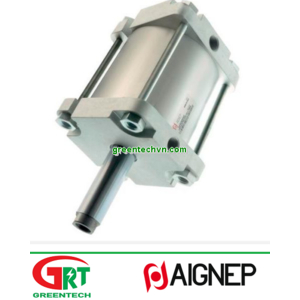 PF-------T | Aignep | Magnetic piston cylinder | Aignep Vietnam