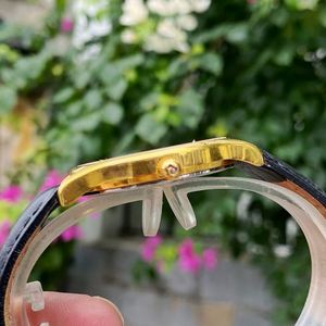 ĐỒNG HỒ NAM POLO GOLD DÂY DA POG2605M