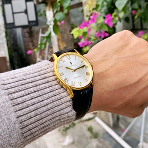 ĐỒNG HỒ NAM POLO GOLD DÂY DA POG2605M