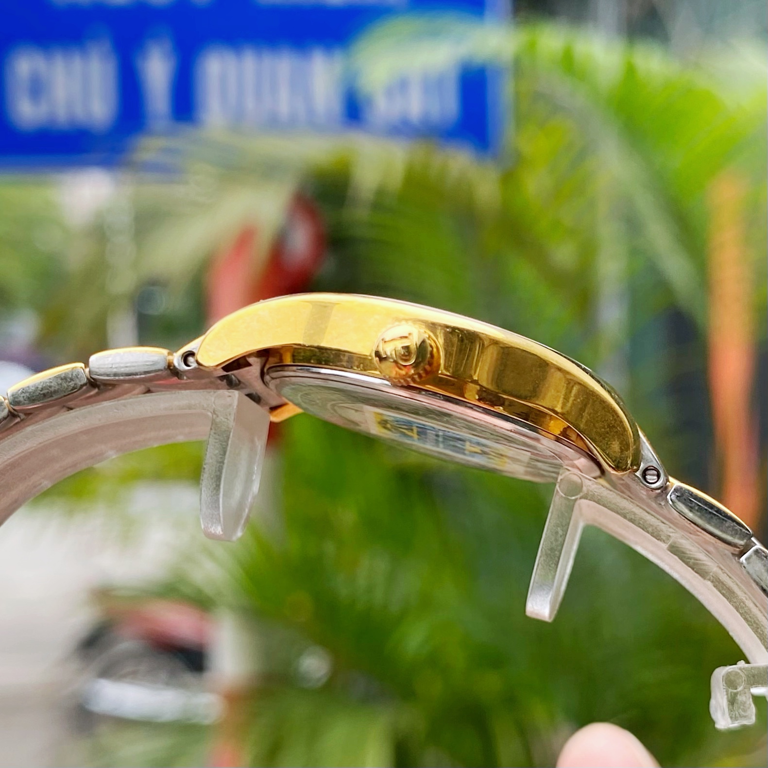 ĐỒNG HỒ NỮ POLO GOLD POG2605L