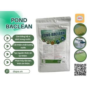 POND BACLEAN: Chế phẩm vi sinh cải thiện môi trường nước kích thích tảo
