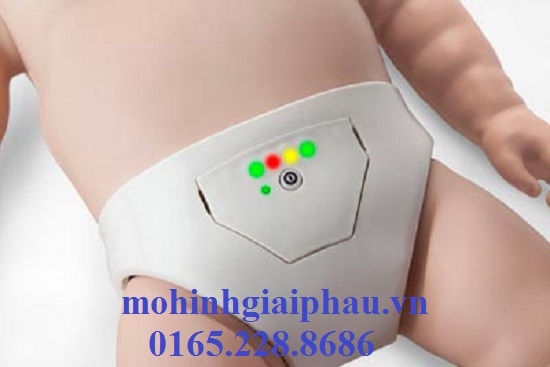Bộ mô hình thực hành kỹ năng CPR cơ bản có kiểm soát điện tử
