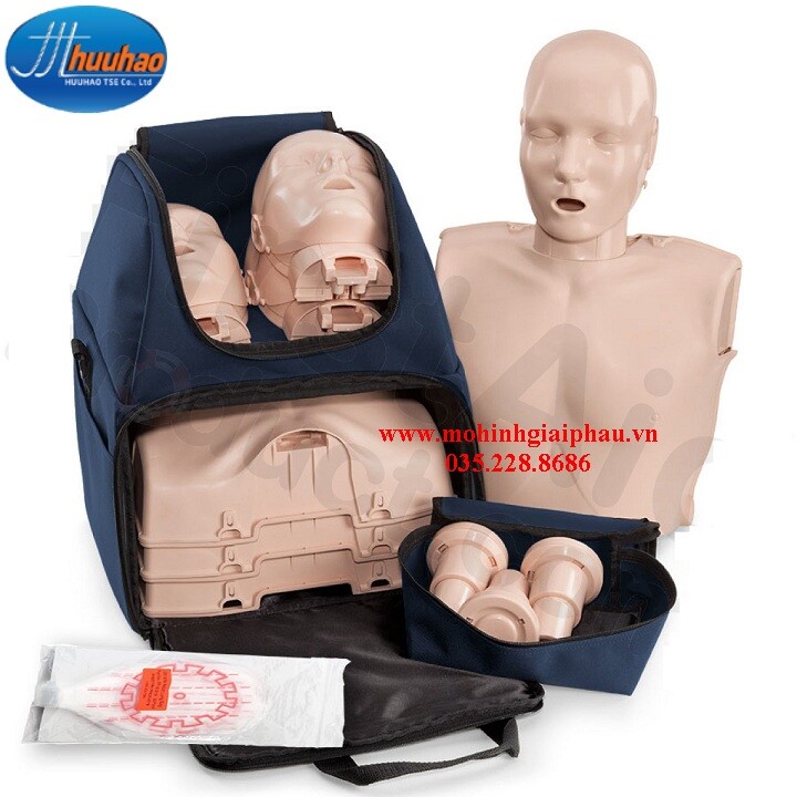 Bộ 4 mô hình thực hành kỹ năng CPR cơ bản ở người lớn