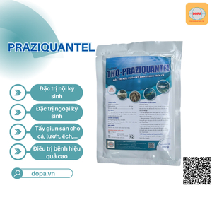 PRAZIQUANTEL: GIẢI PHÁP HIỆU QUẢ DIỆT KÝ SINH TRÙNG TẨY GIUN SÁN CHO CÁ, LƯƠN, ẾCH,...