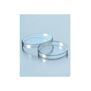 Đĩa pitri thủy tinh