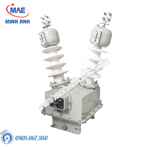 Máy biến áp cấp nguồn trung thế 1 pha ngoài trời kiểu ngâm dầu - Model PT35 - 1HODxS