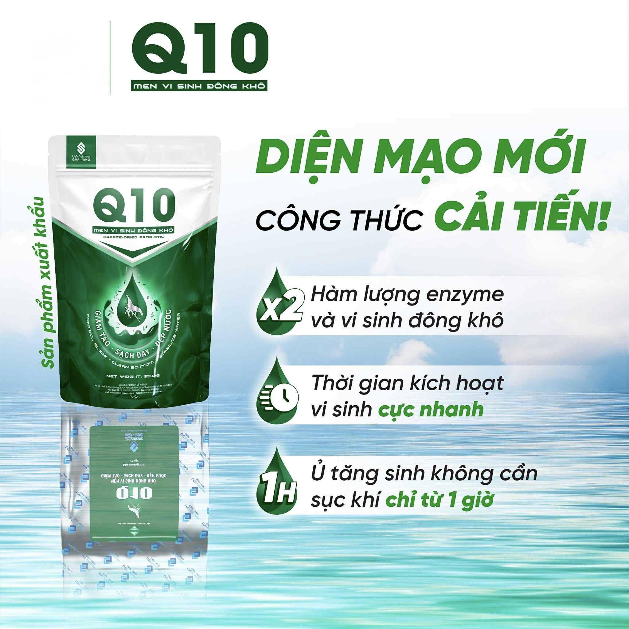 Q10 - MEN VI SINH ĐÔNG KHÔ