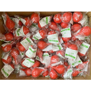 Quả bóp vệ sinh PT GT106-100