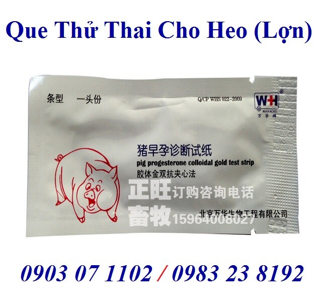 Que thử thai cho heo (Lợn)