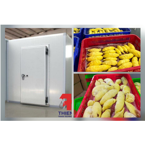 Quy trình cấp đông nhanh sầu riêng chuẩn và những sai lầm thường gặp