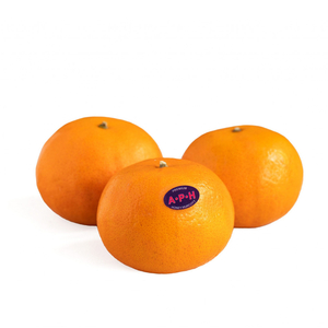 Quýt APH Úc size to