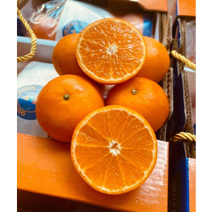 Quýt Seedless Citrus Túi 1kg