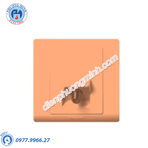 Kết nối cáp TV Honeywell - Model R3529CGL