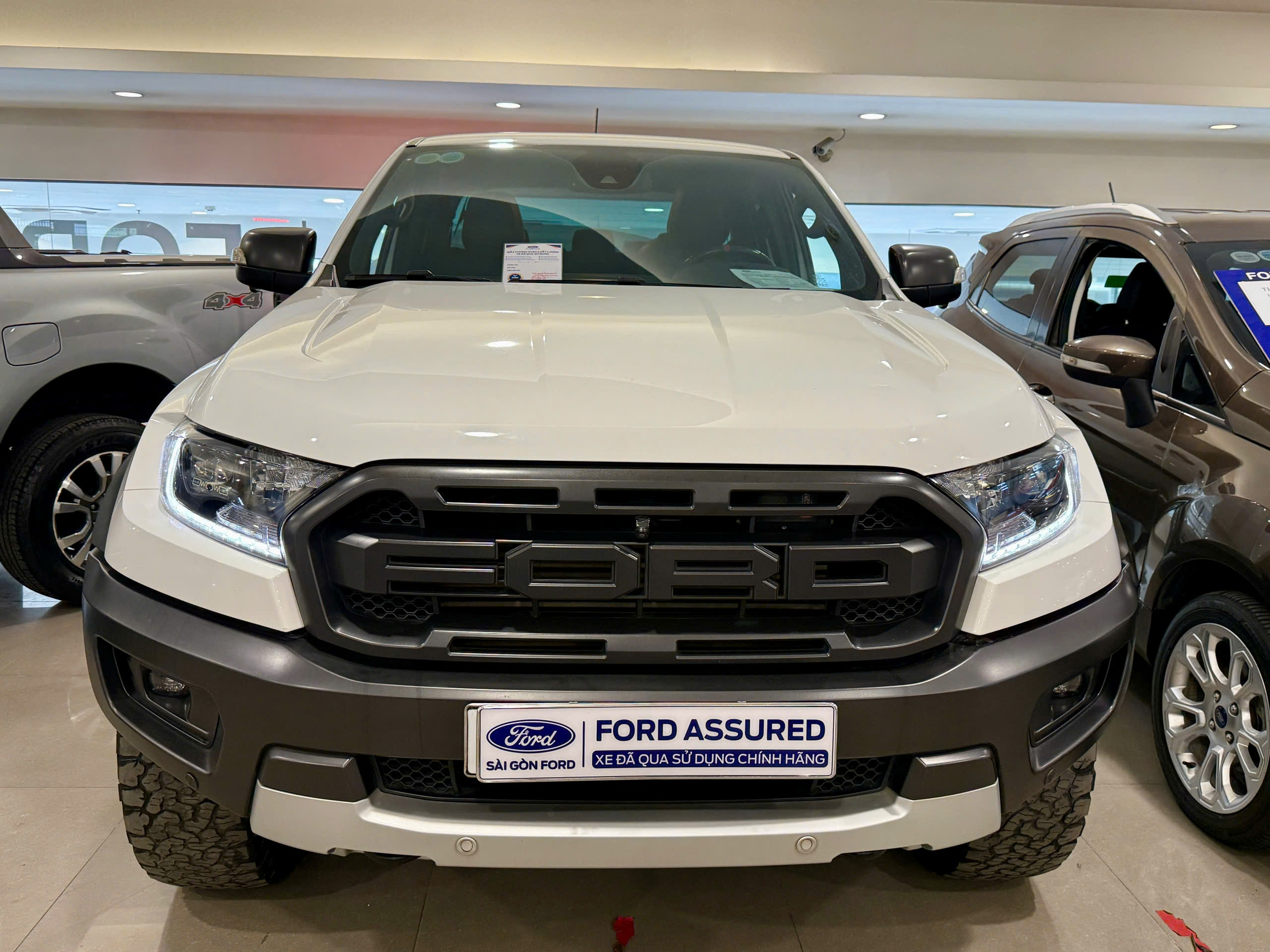 Raptor 2020 Biển Không Niên Hạn
