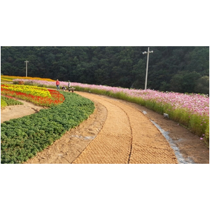 Thảm dệt xơ dừa, lưới xơ dừa, gối ôm xơ dừa, lưới che nắng xơ dừa