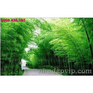 Mẫu gạch 3D RC11