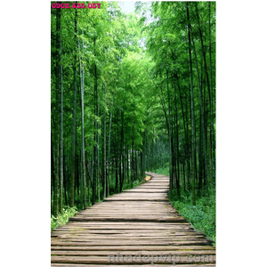 Mẫu gạch 3D RC16