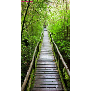 Mẫu gạch 3D RC19