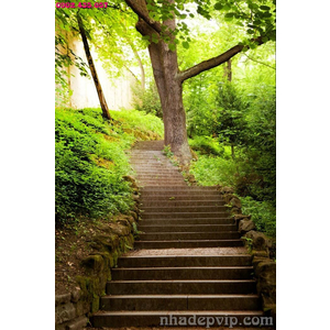 Mẫu gạch 3D RC21