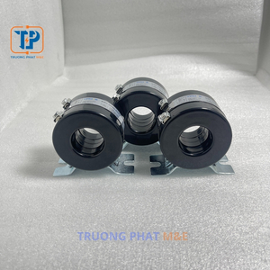 Biến dòng tròn RCT 75/5A