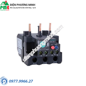 Relay nhiệt Tengen TGR1-95 23-32A