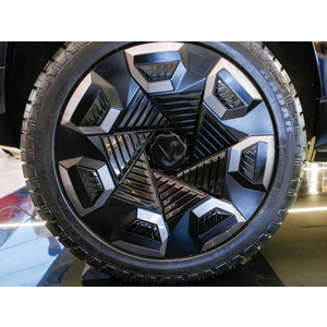VinFast Wild