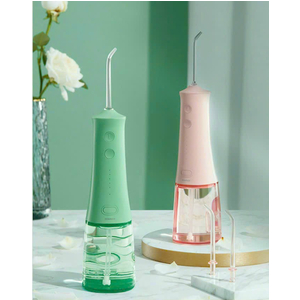 Máy tăm nước cầm tay Roaman W10