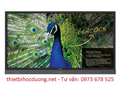 Màn hình tương tác BenQ 75 RP750K