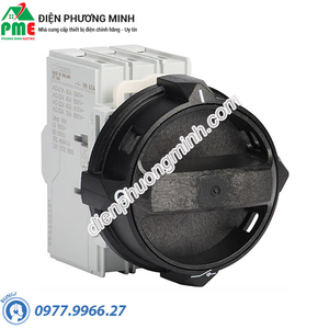 Cầu dao cách ly lắp cánh tủ KATKO RT 316 L42AD11LKX50 3P 16A