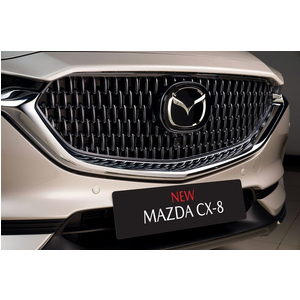 Mazda CX-8 2.5L Premium AWD(6S)