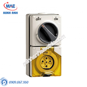 Ổ cắm có khóa 5P 20A 500V IP66 - Model S56C520GY